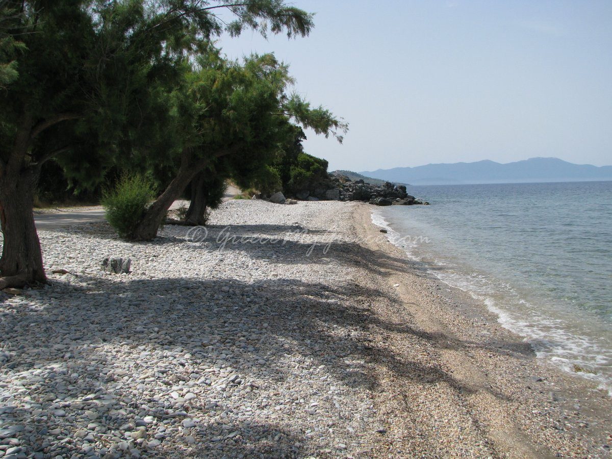 Raci beach