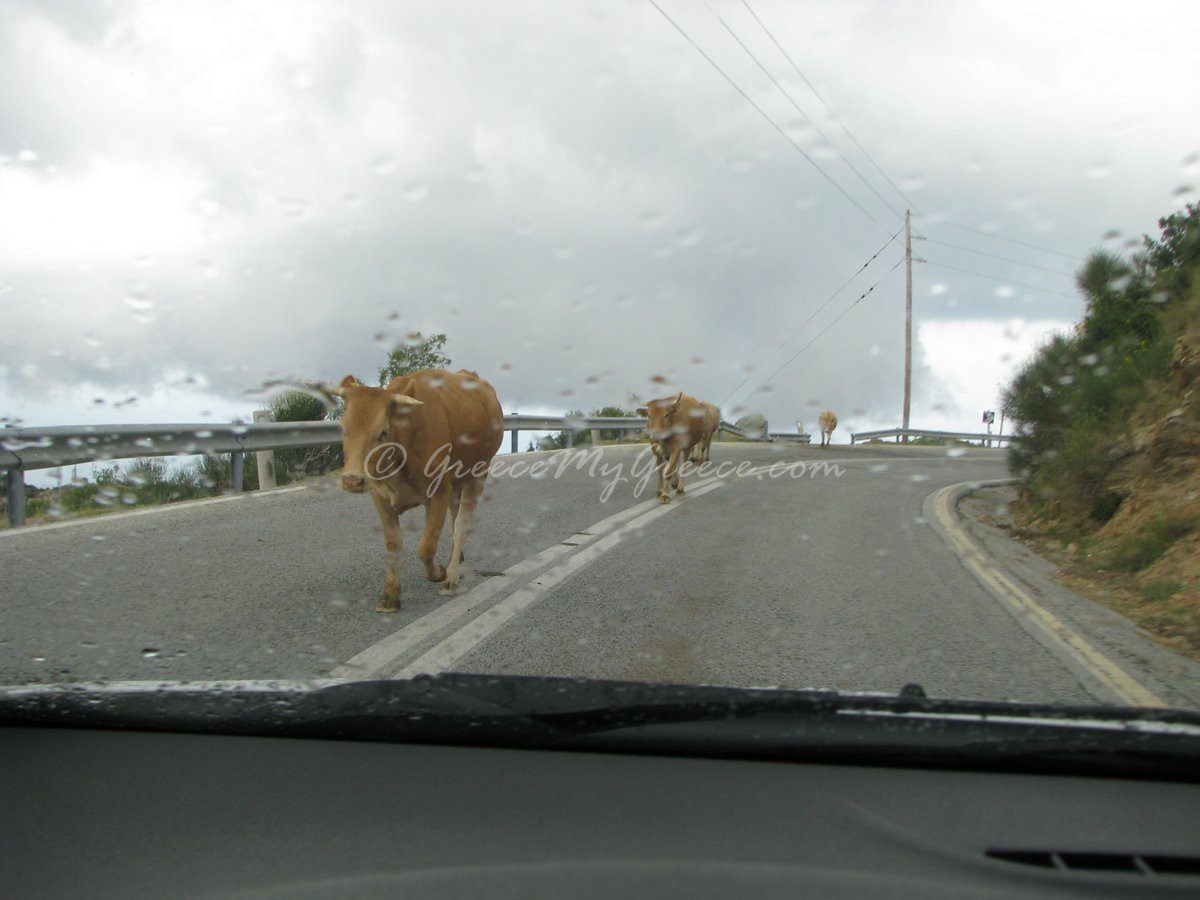 The road from Zagora to Volos